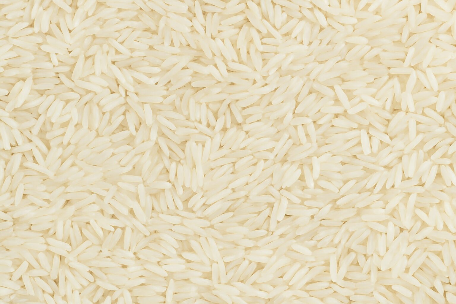 Cupped hands holding uncooked rice grains from bulk supplier