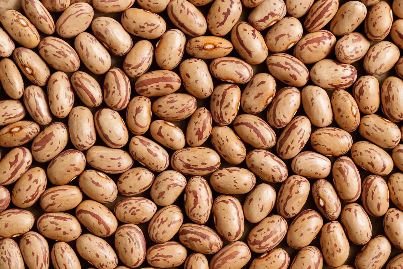 Sugar beans supplied for re-packers